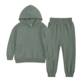 preiswerte 3D-Sets für Jungen-Kinder Jungen Kapuzenpulli &amp; Hose Kleidungsset 2 Stück Langarm Grün Blau Grau Volltonfarbe Baumwolle Strasse Lässig / Alltäglich Streetstyle Sport Standard / Herbst / Winter