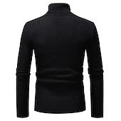 voordelige pullover voor heren-Voor heren Coltrui Trui breien Gebreid Effen Kleur Coltrui Stijlvol Casual / Dagelijks Kleding Herfst Winter Zwart Lichtgrijs S M L