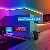 cheap WiFi&amp;Music Control-Addressable Dream color RGBIC WiFi Bluetooth LED Light Strip 5~10m 16.4~32.8ft Waterproof 5050SMD Work with Alexa Google Assistant