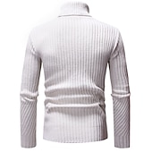 voordelige pullover voor heren-Voor heren Coltrui Trui breien Gebreid Effen Kleur Coltrui Stijlvol Casual / Dagelijks Kleding Herfst Winter Zwart Lichtgrijs S M L