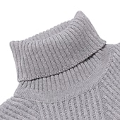 voordelige pullover voor heren-Voor heren Coltrui Trui breien Gebreid Effen Kleur Coltrui Stijlvol Casual / Dagelijks Kleding Herfst Winter Zwart Lichtgrijs S M L