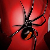 abordables Animaux 3D pour Garçon-Sweat à capuche Garçon Enfants manche longue 3D effet SPIDER Rouge Enfants Hauts Automne Actif Le style mignon Ecole Extérieur du quotidien Standard 4-12 ans