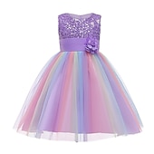 Copii Fete Rochie de fată cu flori Rochie Curcubeu Floare Fără manșon Nuntă Petrecere Paiete Plisată Funde Drăguţ Dantelă Tulle Lungime Genunchi Rochie de Fata de Flori Șampaniu Roz Îmbujorat Roșu Vin ieftine Rochii cu Flori-Copii Fete Rochie de fată cu flori Rochie Curcubeu Floare Fără manșon Nuntă Petrecere Paiete Plisată Funde Drăguţ Dantelă Tulle Lungime Genunchi Rochie de Fata de Flori Șampaniu Roz Îmbujorat Roșu Vin