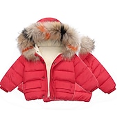billige Jente&#039;s dun- og parka-jakke-Unisex Gutt Jente 3D عادي Jakke Dun Langermet Høst Vinter Aktiv Mote Grunnleggende Barn 2-6 år Skole Feriereise Gate Normal