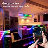 cheap WiFi&amp;Music Control-Addressable Dream color RGBIC WiFi Bluetooth LED Light Strip 5~10m 16.4~32.8ft Waterproof 5050SMD Work with Alexa Google Assistant