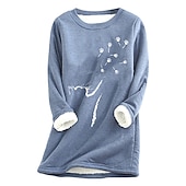 ieftine Hanorace căptușite cu fleece-Pentru femei Mărime Plus Hanorac pulover Cămăși din lână Pisica Cald Activ Plover Manșon Lung Rotund Crewneck Topuri obișnuite Stradă Casual Negru Galben Roz Îmbujorat Roșu-aprins Albastru piscină
