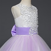 cheap Flower Girl&#039;s Dresses-Flower Girl Dress Girls&#039; Dress Lace Dress Formal Dress Princess Dress Formal Performance Wedding Elegant Vintage Princess Lace Bow Floral Sleeveless Crew Neck White Pink 4-13 Years
