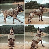 economico Essenziali da viaggio per cani-zaino per cani da viaggio segugio da sella per cani da viaggio zaino per escursioni in campeggio medio&amp;amp;amplificatore; cane grande con 2 capienti tasche laterali