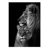 זול Animal Prints-הדפסי בד אמנות קיר בעלי חיים קישוט בית עיצוב בד מגולגל ללא מסגרת לא ממוסגרת לא מתוחה