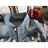 Недорогие Детские уличные куртки-Дети Девочки Жакет Синий Мультипликация Графика Свободный силуэт Осень Весна Мода 2-12 лет / Джинса / Хлопок