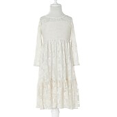cheap Flower Girl&#039;s Dresses-Kids Girls&#039; Flower Girl Dress Dress Solid Colored Long Sleeve Wedding Party Daily Lace Mesh Embroidered Cute Princess Cotton Maxi A Line Dress Tulle Dress Fall Winter 3-12 Years White Beige