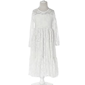 cheap Flower Girl&#039;s Dresses-Kids Girls&#039; Flower Girl Dress Dress Solid Colored Long Sleeve Wedding Party Daily Lace Mesh Embroidered Cute Princess Cotton Maxi A Line Dress Tulle Dress Fall Winter 3-12 Years White Beige