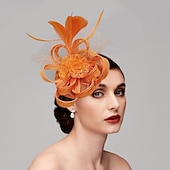 זול פאסינאטורים-פאסצינאטורים כובעים תכשיט ראש נוצות Netz כובע אף פנים חתונה מירוץ סוסים ביום נשים גביע מלבורן קוקטייל עם כובע נוצה תכשיט ראש מסלול להתלבש להרשים שמלת יום מירוץ