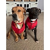 baratos Casacos-moletom com forro de lã extra quente para cães no inverno para cães pequenos, casacos para cachorros com capuz, vermelho (xs-xxxl)