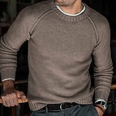 abordables suéter de los hombres-Hombre Pulóveres Pull-over Tejer De Punto Color sólido Cuello Barco Elegante Estilo retro Diario Ropa Invierno Otoño Verde Trébol Negro S M L