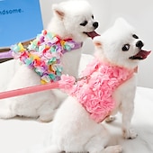 cheap Dog Apparel &amp; Accessories-Dog Cat Harness Leash Cute Adorable Adjustable Soft Comfortable Safety Dailywear Casual Daily Dog Clothing for Husky Labrador Alaskan Malamute Golden Retriever Dalmatian