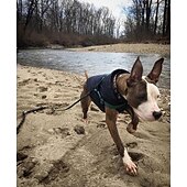 baratos Casacos-moletom com forro de lã extra quente para cães no inverno para cães pequenos, casacos para cachorros com capuz, vermelho (xs-xxxl)