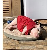 baratos Casacos-moletom com forro de lã extra quente para cães no inverno para cães pequenos, casacos para cachorros com capuz, vermelho (xs-xxxl)