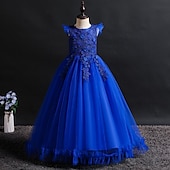 baratos Vestidos floridos-Infantil Para Meninas Vestido de daminha de honra Vestido Jacquard Sem Manga Casamento Festa Ocasião Especial Com Transparência Estilo bonito Princesa Poliéster Longo Vestido rosa princesa Vestido de