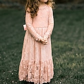 cheap Flower Girl&#039;s Dresses-Kids Girls&#039; Flower Girl Dress Dress Solid Colored Long Sleeve Wedding Party Daily Lace Mesh Embroidered Cute Princess Cotton Maxi A Line Dress Tulle Dress Fall Winter 3-12 Years White Beige