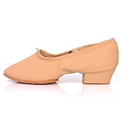 cheap Ballet Shoes-Women&#039;s Canvas Ballroom Dance Shoes with Low Heel and Suede Sole - Ideal for Latin Dance, Soft Sole Dance Shoes for Performance