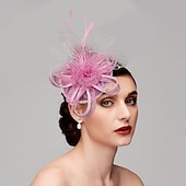 זול פאסינאטורים-פאסצינאטורים כובעים תכשיט ראש נוצות Netz כובע אף פנים חתונה מירוץ סוסים ביום נשים גביע מלבורן קוקטייל עם כובע נוצה תכשיט ראש מסלול להתלבש להרשים שמלת יום מירוץ