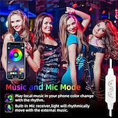 billiga WiFi och musikkontroll-rgbic adresserbar led strip ljus 10m 32.8ft dröm färg app kontroll usb musik synk färg ändras för fest semester sovrum