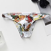 cheap Men&#039;s Briefs Underwear-Men&#039;s 1pack Basic Panties Briefs Basic Print Nylon Plant Low Waist White Army Green