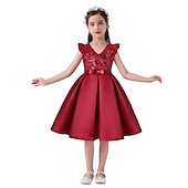 cheap Party Dresses-Kids Girls&#039; Party Dress Solid Color Sleeveless Formal Performance Wedding Lace Adorable Daily Beautiful Cotton Midi Party Dress Floral Embroidery Dress Flower Girl&#039;s Dress Summer Spring Fall 3-10