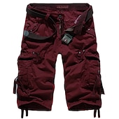 voordelige Klassiek-Voor heren Cargoshorts Wandelshorts Meerdere zakken Effen Kuitlengte Dagelijks Basic Slank Rode Wijn Zwart