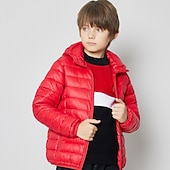 economico Giacca in piuma e parka per ragazzi-Da ragazzo 3D Liscio Cappotto Manica lunga Inverno Attivo Fantastico Poliestere Bambino 3-13 anni Sport Standard