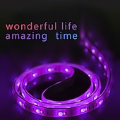 cheap WiFi&amp;Music Control-Addressable Dream color RGBIC WiFi Bluetooth LED Light Strip 5~10m 16.4~32.8ft Waterproof 5050SMD Work with Alexa Google Assistant