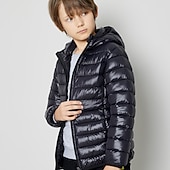 economico Giacca in piuma e parka per ragazzi-Da ragazzo 3D Liscio Cappotto Manica lunga Inverno Attivo Fantastico Poliestere Bambino 3-13 anni Sport Standard