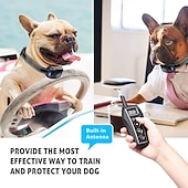 economico Addestramento e accessori educativi per cani-nessun shock 800m collare di addestramento per cani da compagnia beep collare di vibrazione collare di addestramento a distanza umano impermeabile ricaricabile