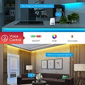 cheap WiFi&amp;Music Control-Addressable Dream color RGBIC WiFi Bluetooth LED Light Strip 5~10m 16.4~32.8ft Waterproof 5050SMD Work with Alexa Google Assistant