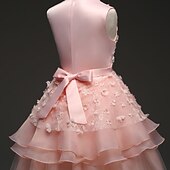 preiswerte Kleider für die Blumenmädchen-kinderkleidung Mädchen Blumenmädchen Kleid Kleid Einfarbig Ärmellos Leistung Hochzeit Party Spitze Rüschen Gitter Kuschelig Prinzessin Polyester Maxi A Linie Kleid Tüll-Kleid Blumenmädchenkleid