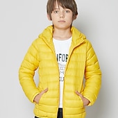 economico Giacca in piuma e parka per ragazzi-Da ragazzo 3D Liscio Cappotto Manica lunga Inverno Attivo Fantastico Poliestere Bambino 3-13 anni Sport Standard