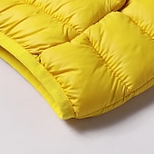 economico Giacca in piuma e parka per ragazzi-Da ragazzo 3D Liscio Cappotto Manica lunga Inverno Attivo Fantastico Poliestere Bambino 3-13 anni Sport Standard