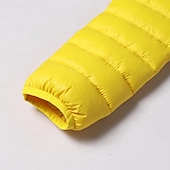 economico Giacca in piuma e parka per ragazzi-Da ragazzo 3D Liscio Cappotto Manica lunga Inverno Attivo Fantastico Poliestere Bambino 3-13 anni Sport Standard