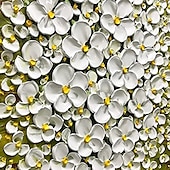 levne Květinové či botanické obrazy-olejomalba 100% ručně malovaná nástěnná malba na plátně moderní paleta malba nožem bílá švestka květinová dekorace do bytu srolované plátno bez rámu nenatažené