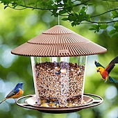 billige fuglekikking og dyreliv i bakgården-fuglemater vanntett lysthus hengende fuglematere utendørs beholder med hengetau materhus type fuglemater aves dekor hageinnredning