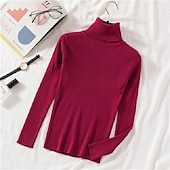 voordelige Effen kleuren-Dames Trui Basic Casual Effen Kleur Geribd Coltrui Gebreid Dun Lange mouw breien Dagelijks Zwart Wit Herfst Winter