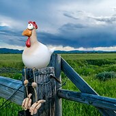 cheap Garden Sculptures&amp;Statues-Chicken Garden Decor Statues Sculptures Decoration Home Animal Funny Resin Figurines Garden Plug Pottery Figure Ornaments