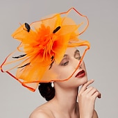 levne Fascinátory-Pera  síťové fascinátory  klobouky  čelenka s perem  čepicí  květinou 1 ks svatba  dostihy  Melbourne Cup čelenka která okouzlí na dostihy