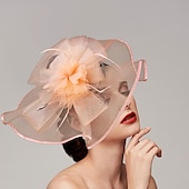 levne Fascinátory-Pera  síťové fascinátory  klobouky  čelenka s perem  čepicí  květinou 1 ks svatba  dostihy  Melbourne Cup čelenka která okouzlí na dostihy