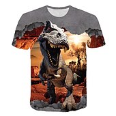 levne 3D zvířata pro chlapce-dětský chlapecký dinosaurus 3D potisk tričko krátký rukáv zvířecí potisk šedé dětské topy léto aktivní denní nošení regular fit 4-12 let