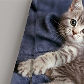 preiswerte Mädchen 3D Tiere-Mädchen 3D Tier Katze T-Shirt Langarm 3D-Druck Sommer Frühling Herbst Aktiv Sport Modisch kinderkleidung 3-12 Jahre Outdoor Täglich Innen Regular Fit
