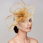 billige Coiffer-fjær / nettfascinatorer kentucky derby lue / hodeplagg med fjær / cap / blomst 1 stk bryllup / hesteveddeløp / melbourne cup hodeplagg