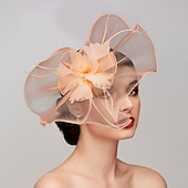 billige Coiffer-fjær / nettfascinatorer kentucky derby lue / hodeplagg med fjær / cap / blomst 1 stk bryllup / hesteveddeløp / melbourne cup hodeplagg