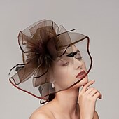 levne Fascinátory-Pera  síťové fascinátory  klobouky  čelenka s perem  čepicí  květinou 1 ks svatba  dostihy  Melbourne Cup čelenka která okouzlí na dostihy